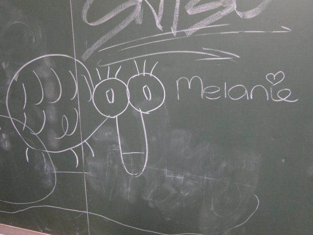 2011HWK 045.jpg